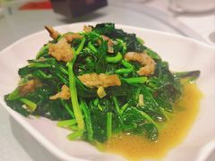 -双井轩(双井店)