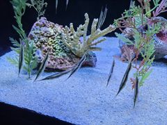 -上海海洋水族馆