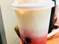 白玉海棠-茶理宜世(东方宝泰店)