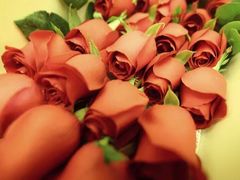 -杭州街角花屋花店(闻堰店)