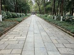 -灵谷景区