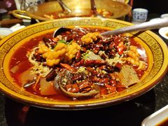 -蜀都丰 川菜·水煮活鱼(万象九宜城店)