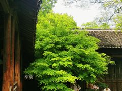 -惠山古镇·寄畅园