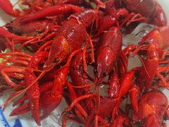 -南山酒肆(南山董事绘店)