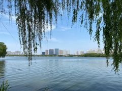 -望海·帆船主题咖啡厅•品茗下午茶(石湖景区店)