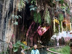 -正佳雨林生态植物园