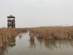 -盐城丹顶鹤湿地生态旅游区