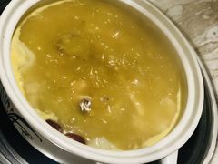 -汤城·料青山