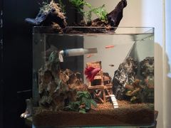 -Together·泰式按摩精油SPA(天山店)