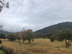 -塔川景区