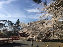-醍醐寺