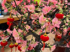 -双季花艺园艺市场(浦东店)