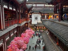 -Peet's Coffee皮爷咖啡(豫园店)