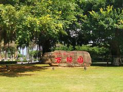 -万绿园