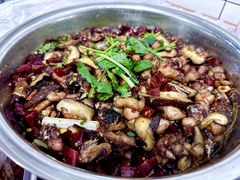 -食神又名厕所兔