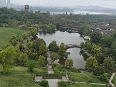 -张坝桂圆林公园