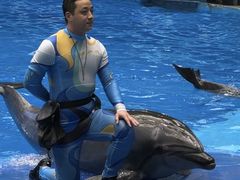 -海合安成都极地海洋公园