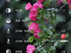 -白鹭湾湿地公园