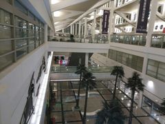 -厦门高崎国际机场-T3航站楼