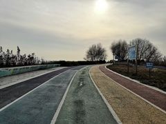 -贡湖湾湿地公园