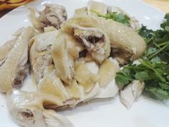 白切湛江鸡-瑞记湛江鸡饭店·粤西第一鸡(粤垦店)