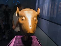 -广西壮族自治区博物馆