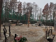 -上海野生动物园老虎餐厅