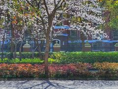 -新江湾城公园