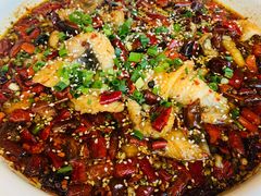 江团水煮鱼-兔槽江湖菜·重庆璧山兔(水围店)