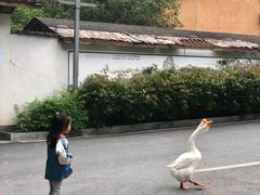 -黄公望隐居地