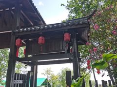 -合肥滨湖国家森林公园