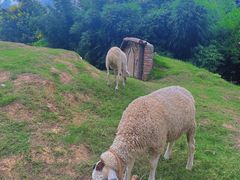 -HERRE·FARM 赫尔露营农场·团建聚会包场