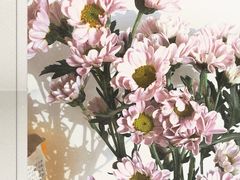 -循礼门鲜花花市(武汉循礼门店)