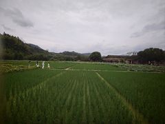 -福建土楼(南靖)景区