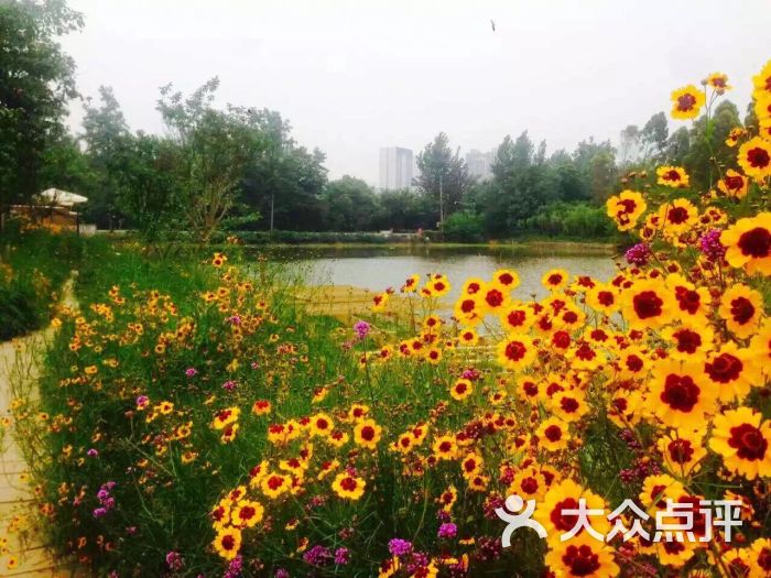 白鹭湾湿地公园自助烧烤(印象花园)图片 - 第65张