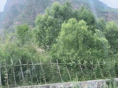 -桑干河大峡谷旅游区