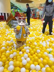 -MELAND(郑州万象城店)