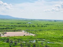 -黑瞎子岛探秘野熊园