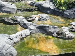 -吉隆坡雀鸟公园