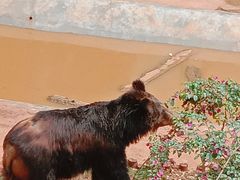 -昆明动物园