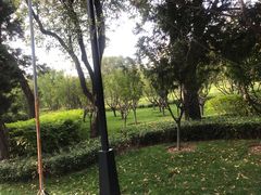 -迎泽公园
