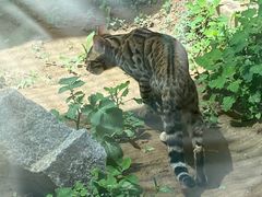 -青藏高原野生动物园