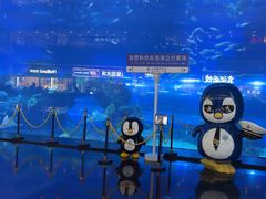 -成都浩海立方海洋公园