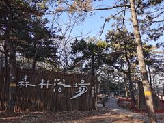 -北京西山国家森林公园