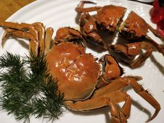 -花笙记打边炉·煲仔饭(五大道店)