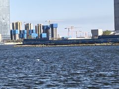 -海河外滩公园