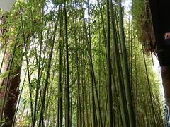 -八分园