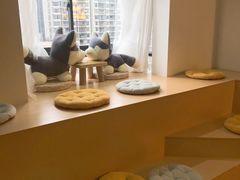 -Husky Go! 哈士奇体验馆·宠物咖啡厅狗咖