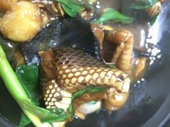 荔城美食-荔城生鲜盛宴(番禺旗舰店)