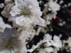 -英皇电影城(英皇集团中心IMAX店)